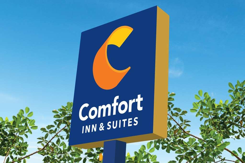 Comfort Inn & Suites High Point - Archdale Экстерьер фото